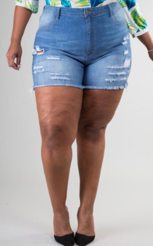 Mary Jane Distressed Shorts